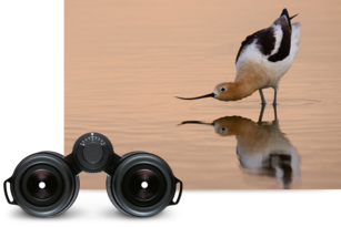 Leica Ultravid 12x50 HD - Des images cristallines